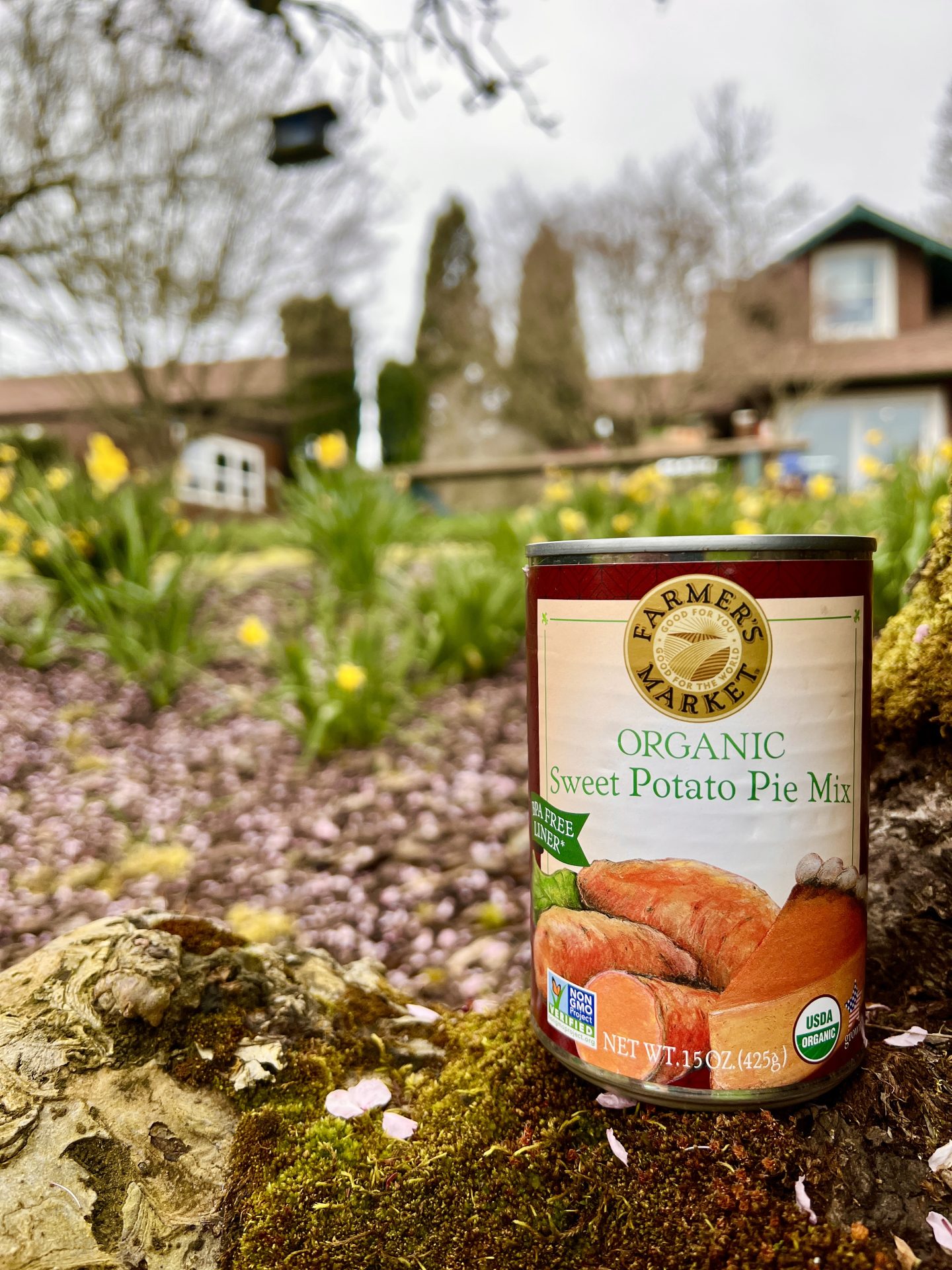 Sweet potato pie mix