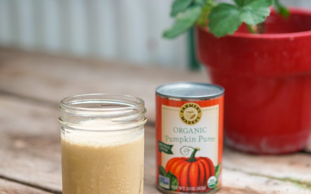 Farmer's market Pumpkin Creamer