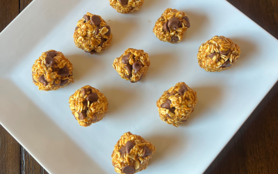 Pumpkin Oat Balls